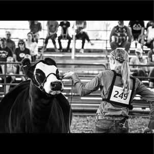 Meet your Posher, Maddie